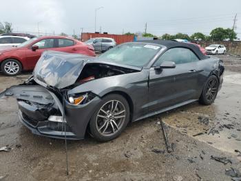  Salvage Ford Mustang