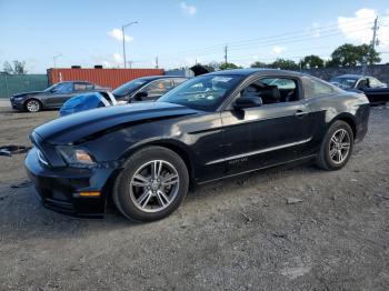  Salvage Ford Mustang