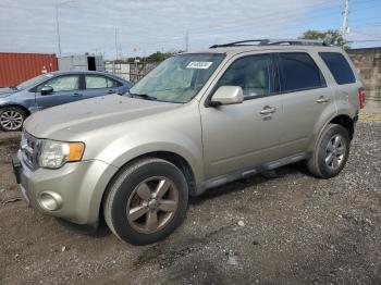  Salvage Ford Escape