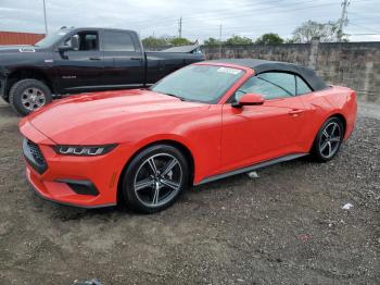  Salvage Ford Mustang