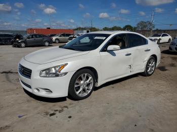  Salvage Nissan Maxima