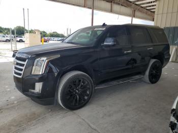  Salvage Cadillac Escalade