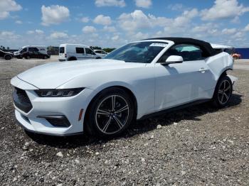  Salvage Ford Mustang