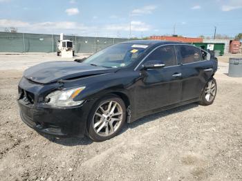  Salvage Nissan Maxima