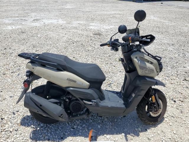  Salvage Taiz 150