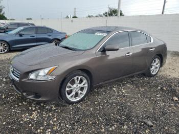  Salvage Nissan Maxima