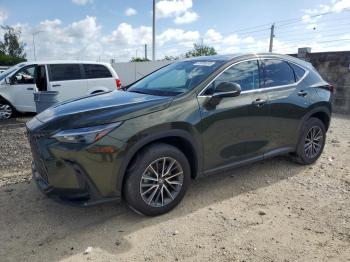  Salvage Lexus NX