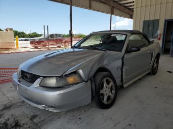  Salvage Ford Mustang
