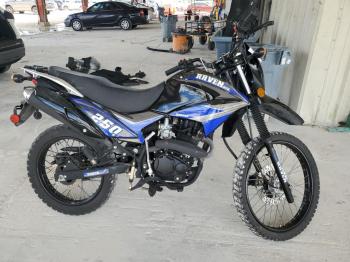  Salvage Rave 250