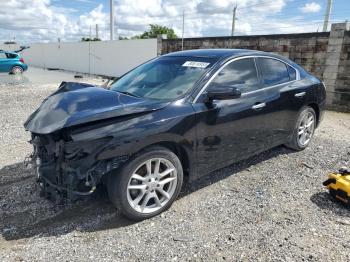  Salvage Nissan Maxima