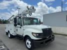 International Terrastar Image 1