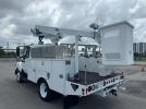 International Terrastar Image 7