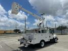 International Terrastar Image 3