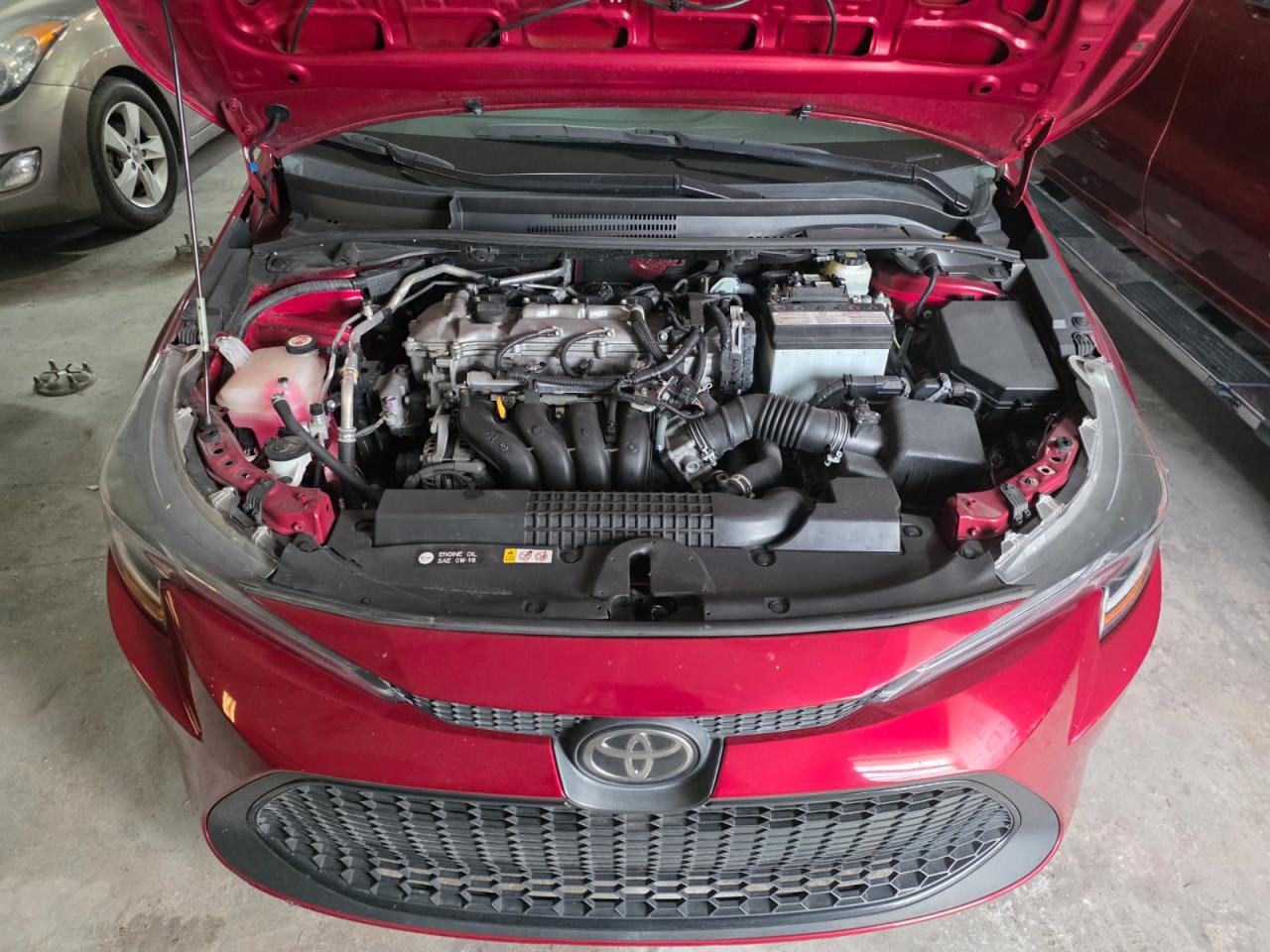 Toyota Corolla Le Image 7