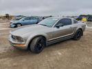 Ford Mustang Image 1