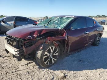  Salvage Nissan Maxima