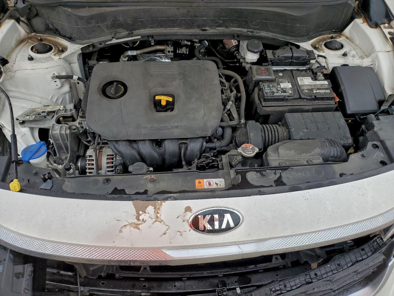 Kia Seltos Ex Image 11